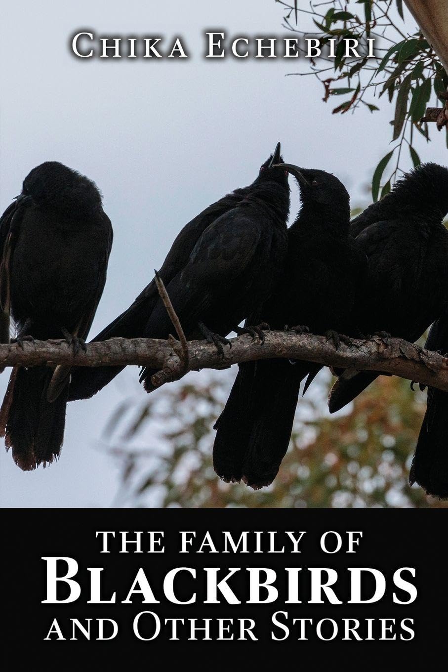 Cover of The Family of Blackbirds and Other Stories