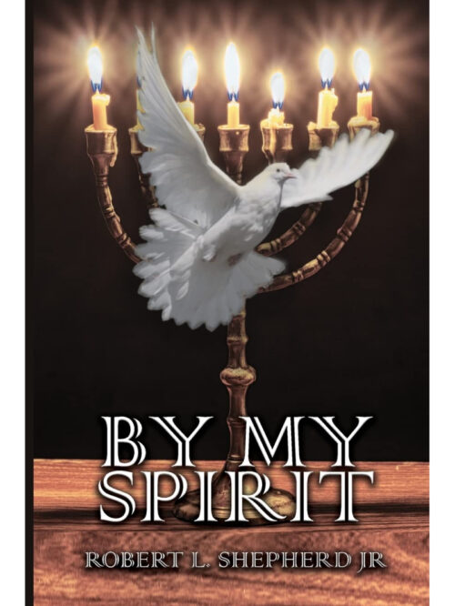 Front Book Cover Of By My Spirit By Robert L. Shepherd Jr.